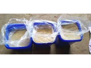 wholesaler-distributor-in-cashew-nuts-at-delhi-narela-small-2