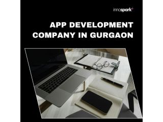 app-development-company-in-gurgaon-small-0