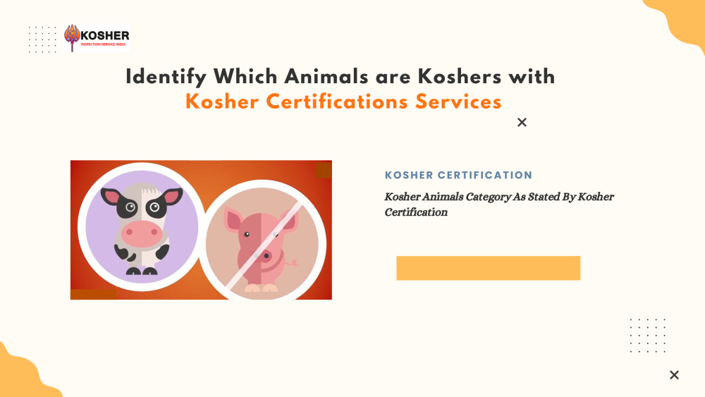 kosher-certification-uses-and-importance-for-businesses-big-0