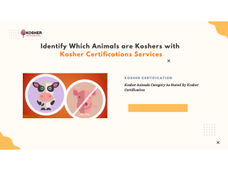 kosher-certification-uses-and-importance-for-businesses-small-0