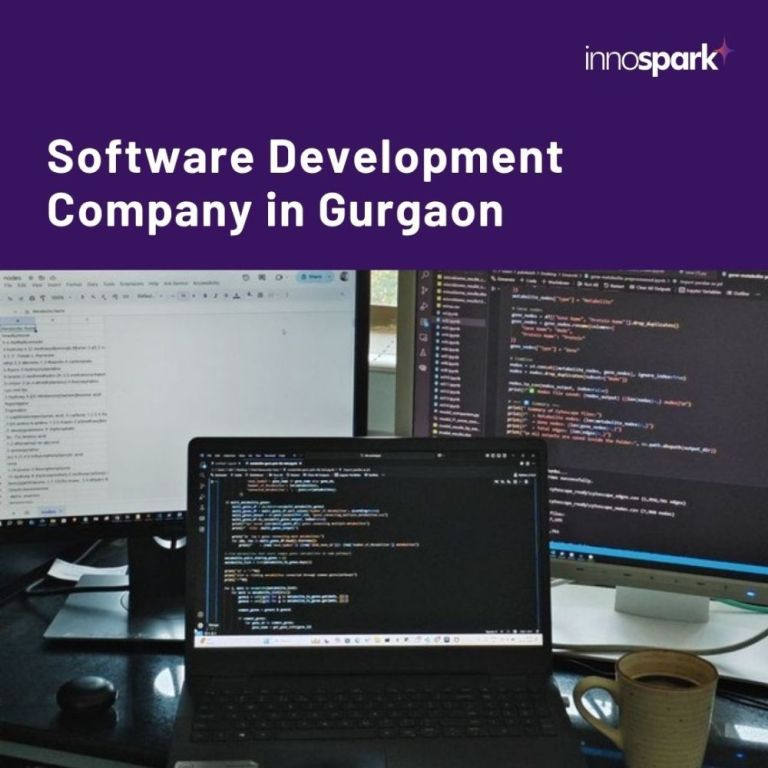software-development-company-in-gurgaon-big-0