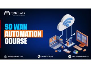 become-a-network-automation-pro-with-pynet-labs-sd-wan-course-small-0