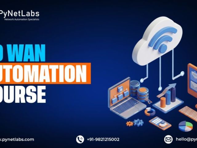 become-a-network-automation-pro-with-pynet-labs-sd-wan-course