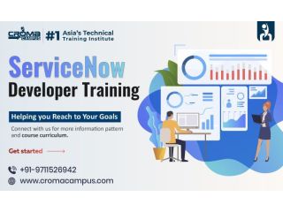servicenow-developer-role-skills-and-career-guide-small-0