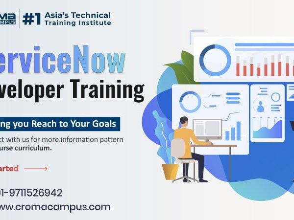 servicenow-developer-role-skills-and-career-guide