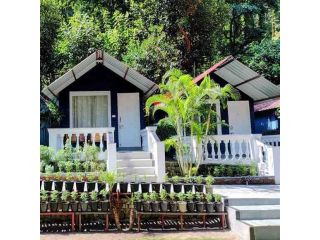 riverside-cottages-in-rishikesh-small-0
