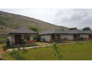 luxury-resorts-in-sariska-for-premium-nature-retreats-cyj-picks-small-0