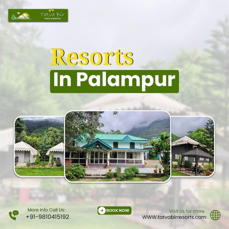 resorts-in-palampur-for-peaceful-mountain-stay-big-0