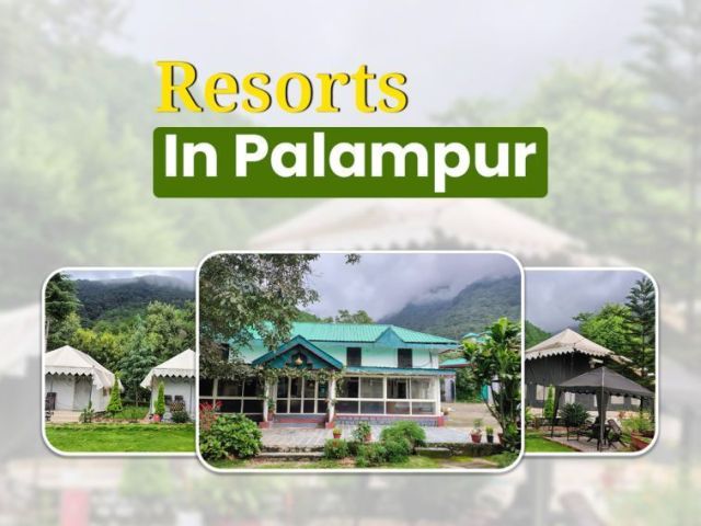 resorts-in-palampur-for-peaceful-mountain-stay