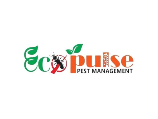 effective-pest-control-services-in-kolkata-for-long-term-relief