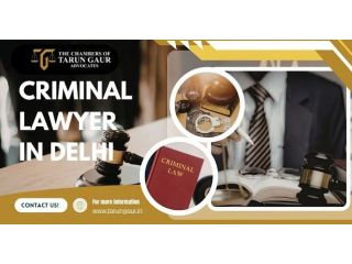 criminal-lawyer-in-delhi-for-fir-bail-court-matters-small-0