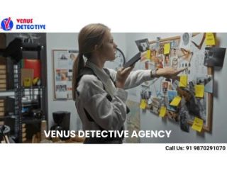 trusted-venus-detective-agency-in-lucknow-confidential-services-small-0