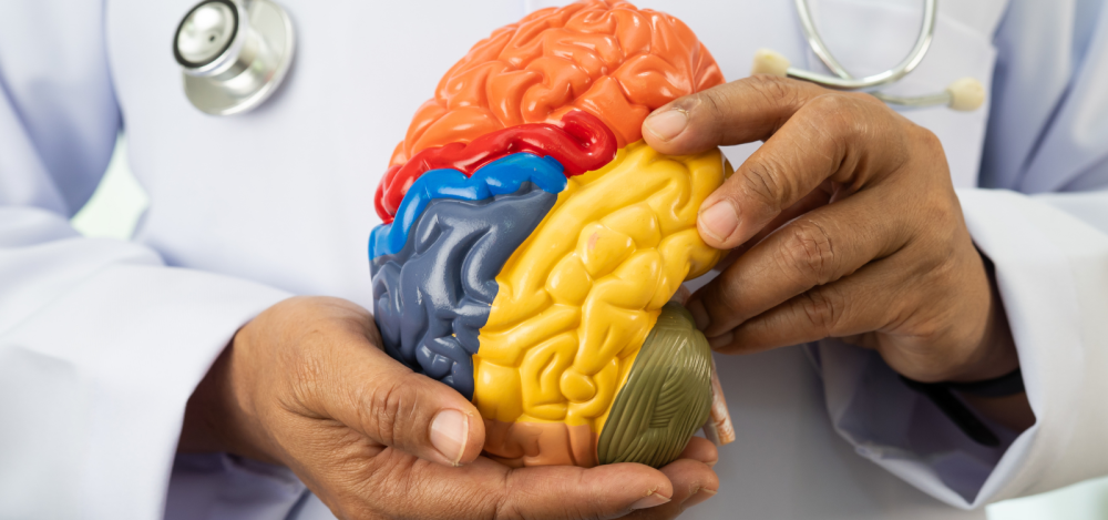 advanced-surgical-solutions-for-brain-tumor-care-big-0