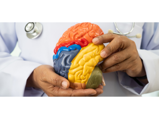 advanced-surgical-solutions-for-brain-tumor-care-small-0