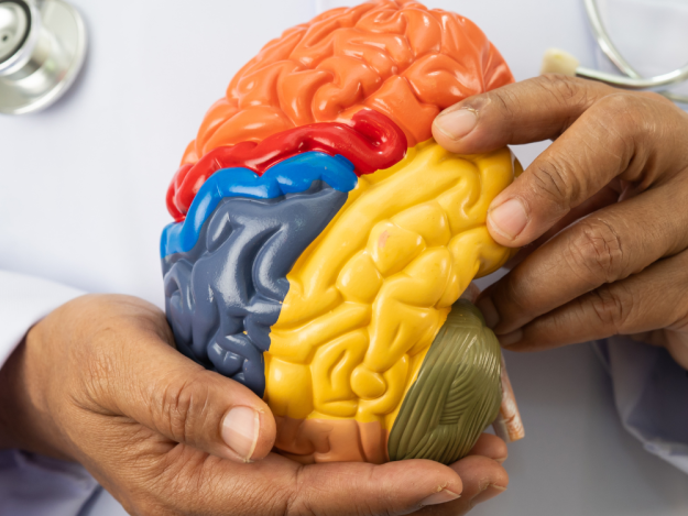 advanced-surgical-solutions-for-brain-tumor-care