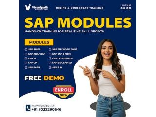 transform-your-future-with-sap-training-at-visualpath-small-0