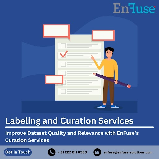 improve-dataset-quality-with-enfuses-curation-services-big-0