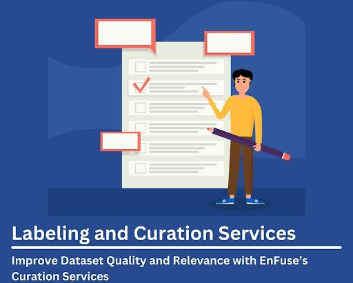 improve-dataset-quality-with-enfuses-curation-services
