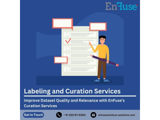 improve-dataset-quality-with-enfuses-curation-services-small-0