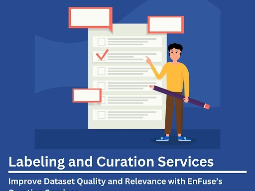 improve-dataset-quality-with-enfuses-curation-services