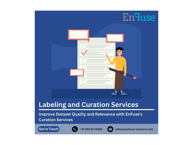 improve-dataset-quality-with-enfuses-curation-services-small-0