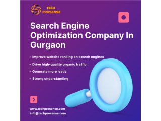 search-engine-optimization-company-in-gurgaon-tech-prosensee-small-0