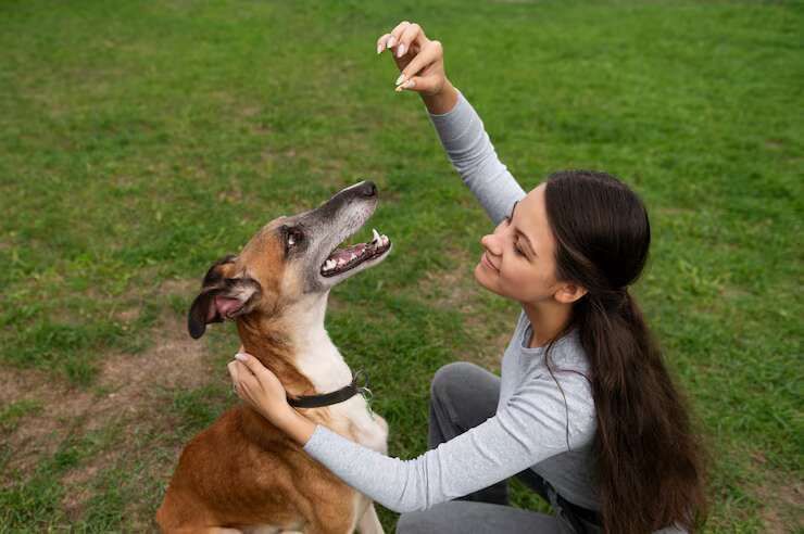dog-trainer-in-kochi-big-0