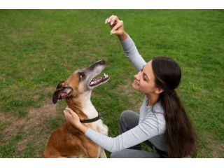 dog-trainer-in-kochi-small-0