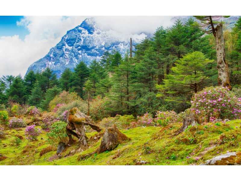 sikkim-travel-packages-from-mumbai-small-1