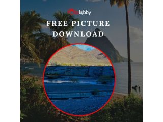 free-pictures-download-by-fotolobby-small-0