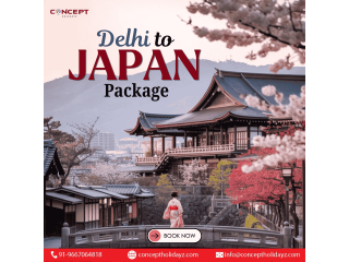 delhi-to-japan-package-small-0