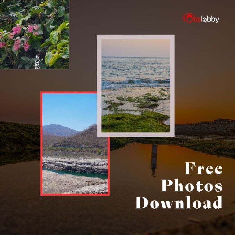 free-photos-download-by-fotolobby-big-0