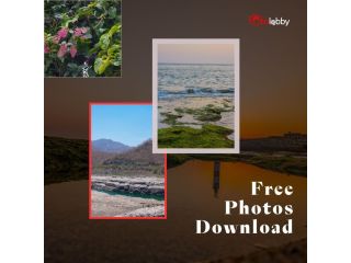 free-photos-download-by-fotolobby-small-0