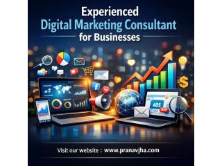 experienced-digital-marketing-consultant-for-businesses-small-0