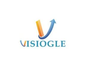 visiogle-your-go-to-meta-ads-agency-in-india-small-0