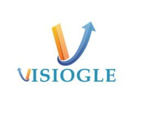 visiogle-your-go-to-meta-ads-agency-in-india