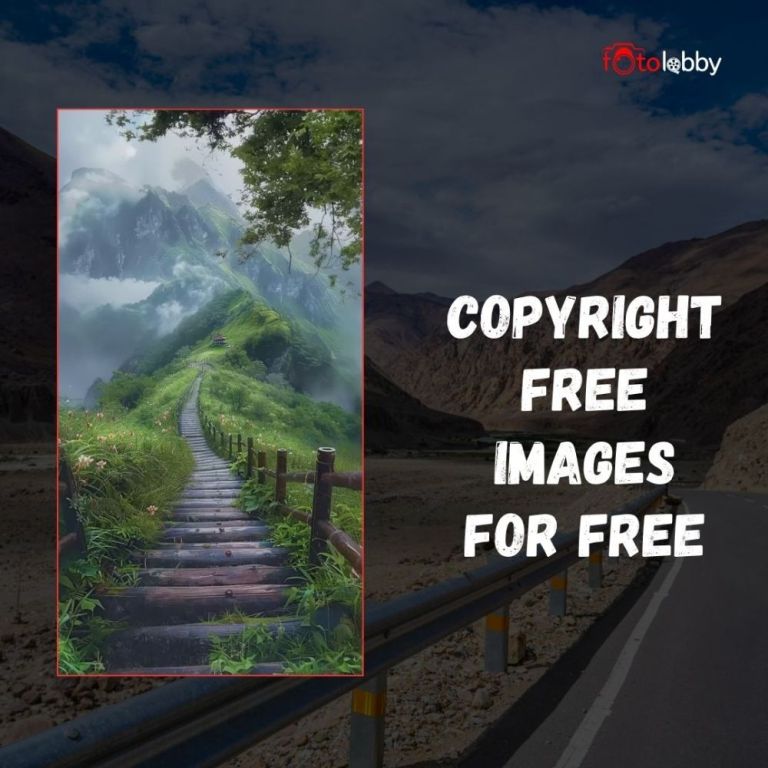 copyright-free-images-for-free-by-fotolobby-big-0