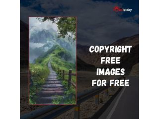 copyright-free-images-for-free-by-fotolobby-small-0
