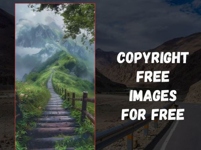 copyright-free-images-for-free-by-fotolobby
