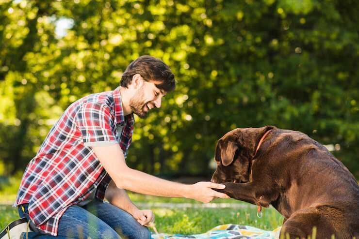 dog-trainer-in-nagpur-big-0