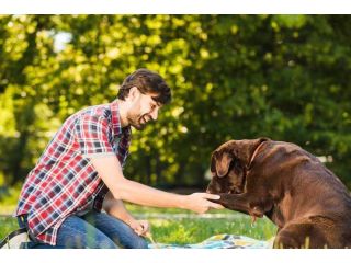 dog-trainer-in-nagpur-small-0