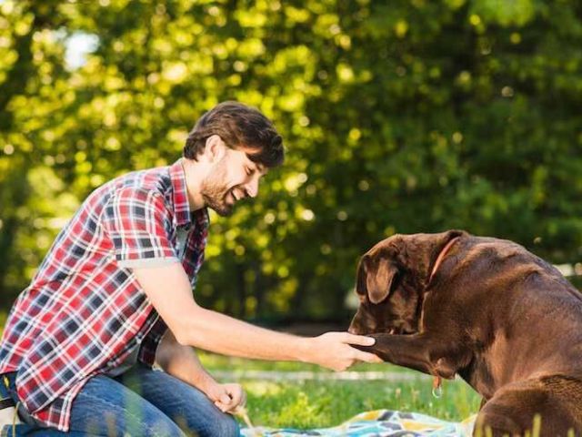 dog-trainer-in-nagpur