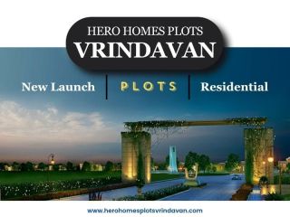 hero-homes-plots-vrindavan-property-investment-in-spiritual-hub-small-3