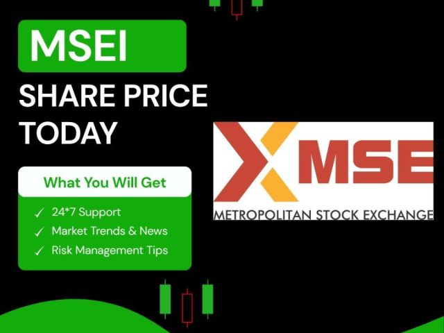 metropolitan-stock-exchange-share-price-today-unlisted-valley