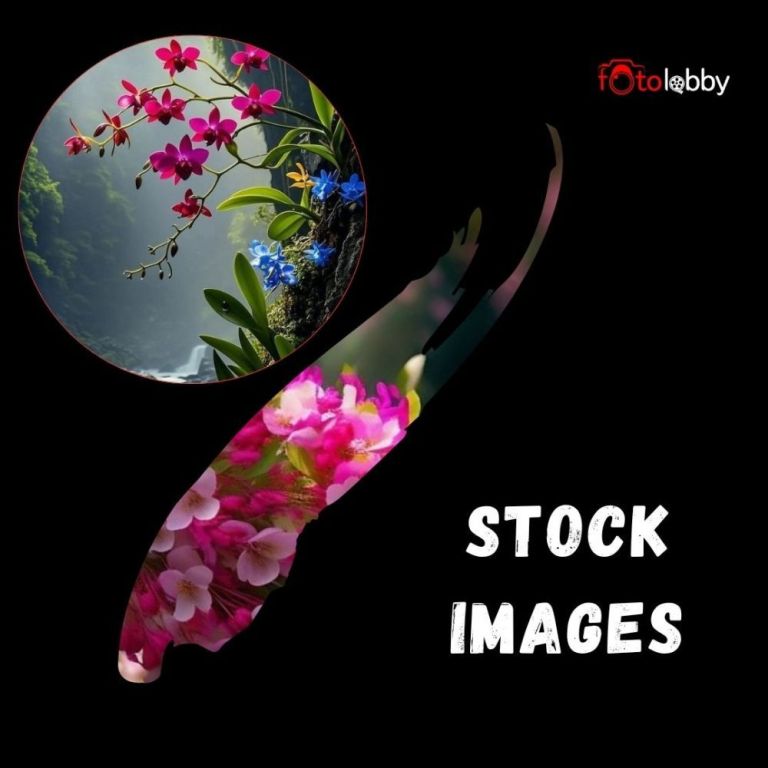 stock-images-by-fotolobby-big-0