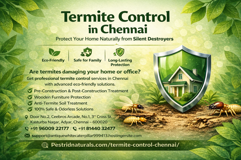 termite-control-chennai-pest-rid-naturals-big-0