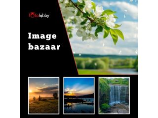 image-bazaar-by-fotolobby-small-0