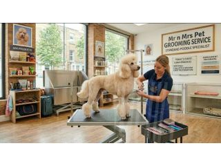 pet-grooming-service-at-home-in-mysore-small-0