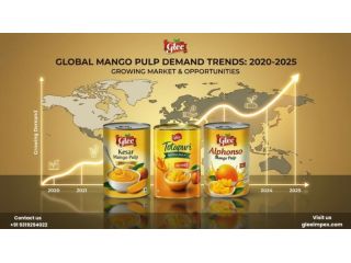trusted-mango-pulp-exporter-in-india-glee-impex-small-0