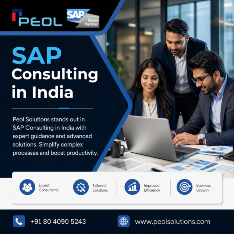 sap-consulting-in-india-big-0